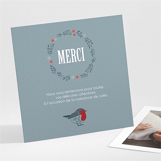 Remerciement naissance composition d'hiver
