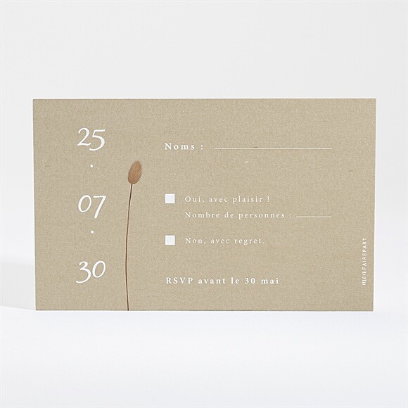 Dos du carton