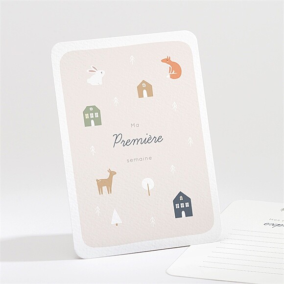 Carte étape bébé Animaux hiver réf.N58107