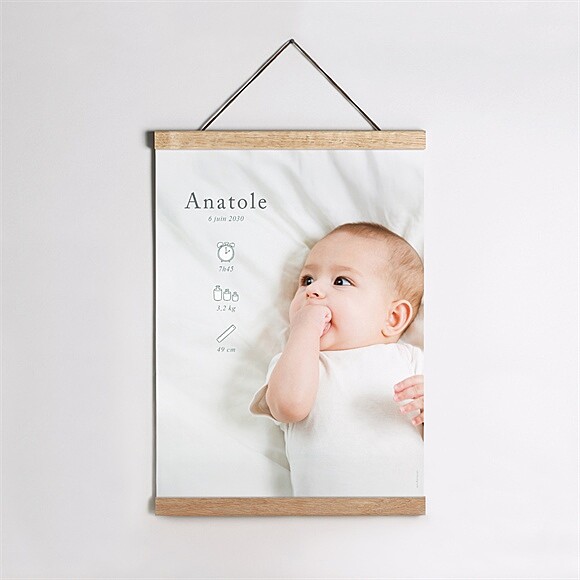 Affiche naissance Adorables pictos réf.N260538